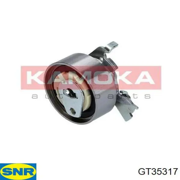 GT35317 SNR
