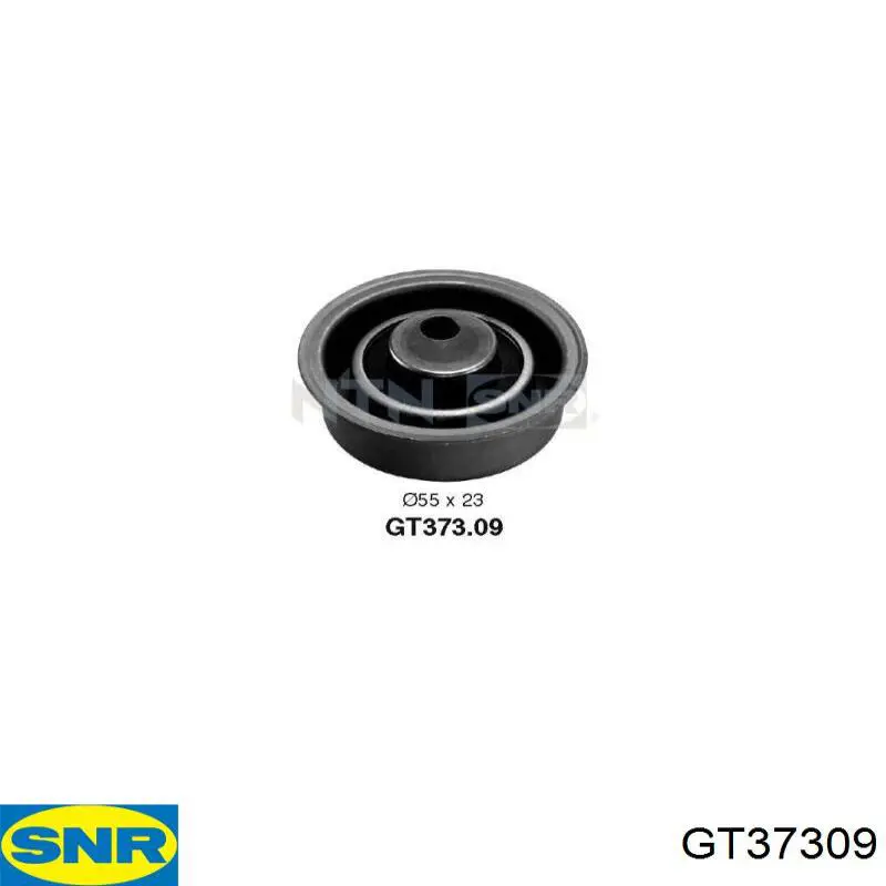 GT37309 SNR