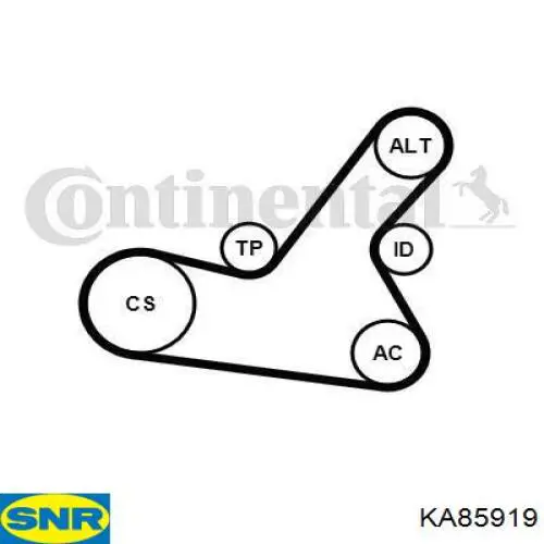 Ремень приводной 6PK1564K2 Continental/Siemens