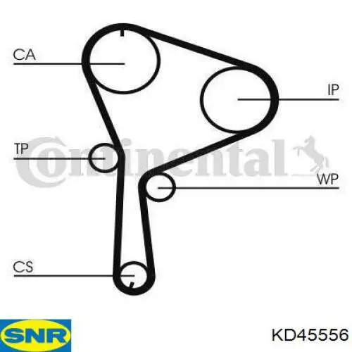 KD45556 SNR Комплект ремня ГРМ