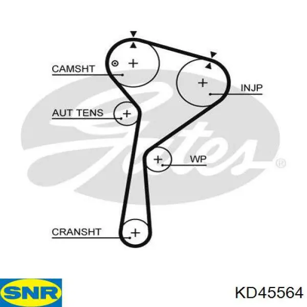 ГРМ ремни, комплект Renault (RVI) 8660005505 цена, от 69.54 USD