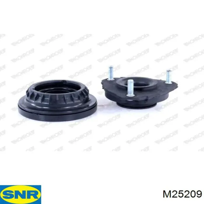  M25209 SNR