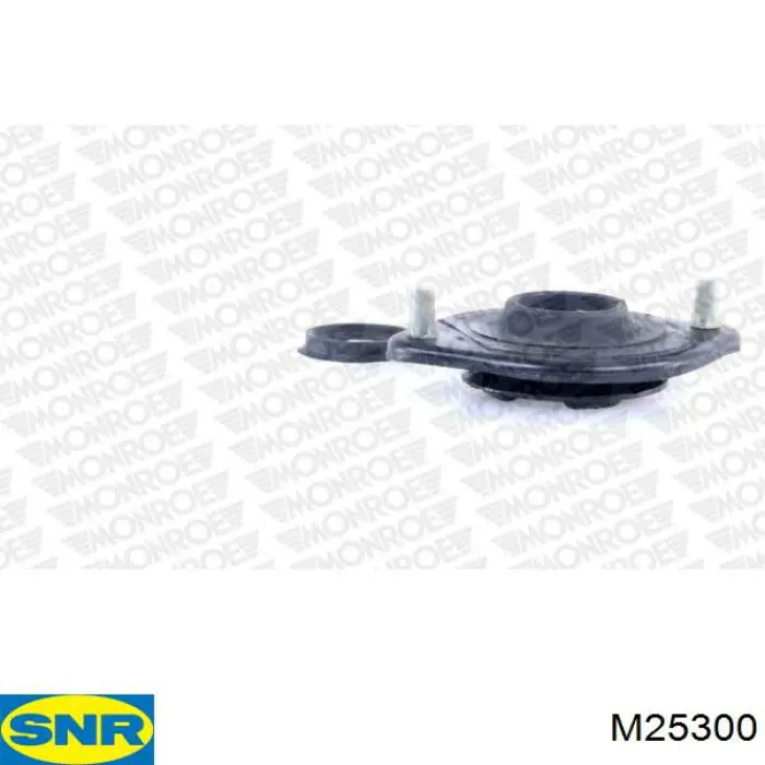  SNR M25300