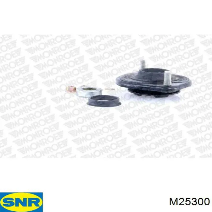  M25300 SNR