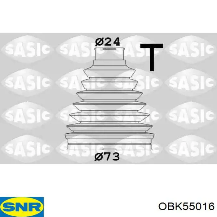 OBK55016 SNR