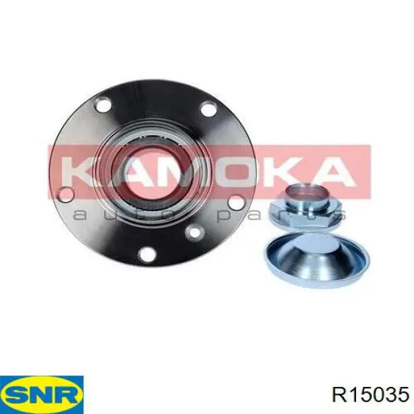 Ступица (передняя) SNR R15035