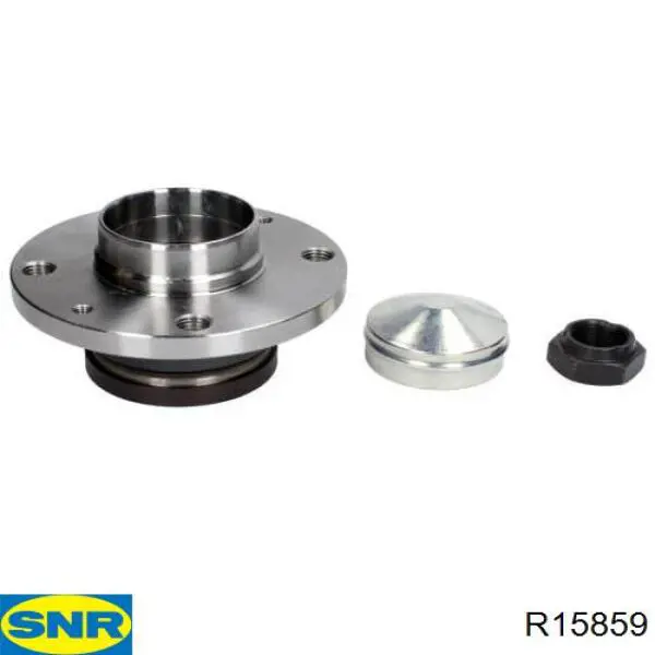 Ступицы задних колес SNR R15859 цена, от 58.18 USD