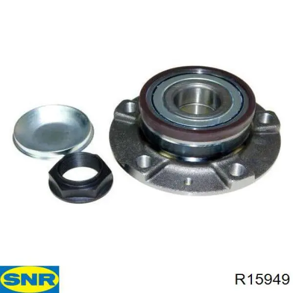 Ступица заднего колеса SNR R15949
