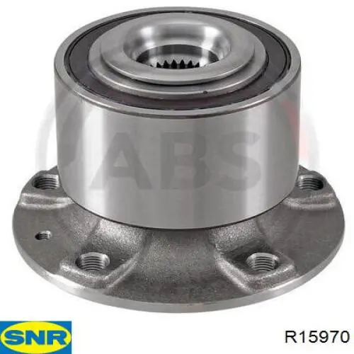 Cubo de rueda trasero R15970 SNR