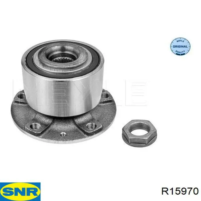 Ступицы задних колес SNR R15970 цена, от 183.36 USD