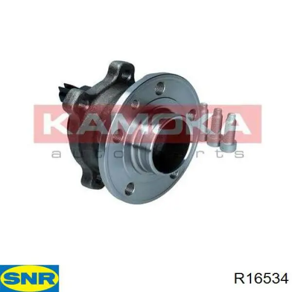 Задняя ступица R16534 SNR