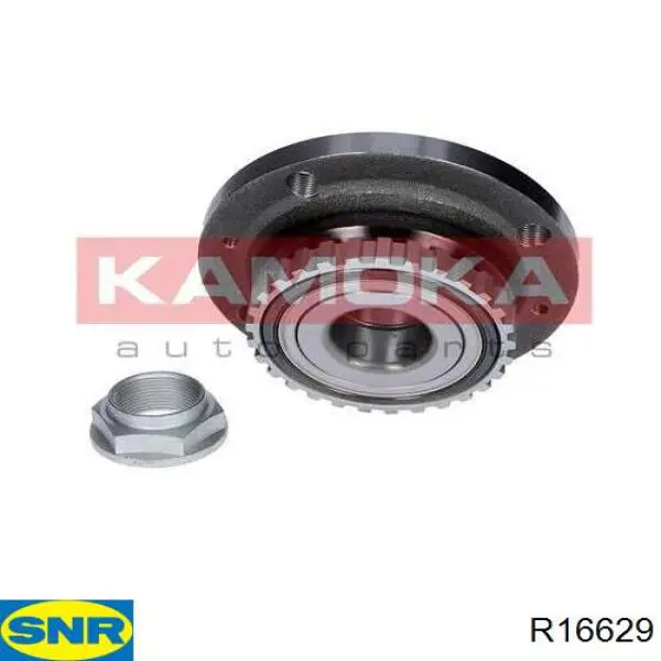 Cubo de rueda trasero R16629 SNR