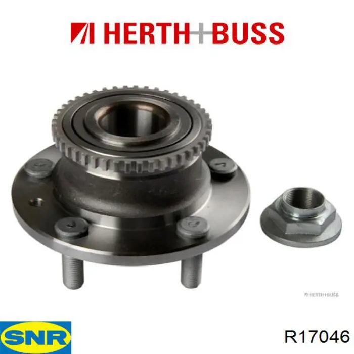 R17046 SNR Ступица задняя