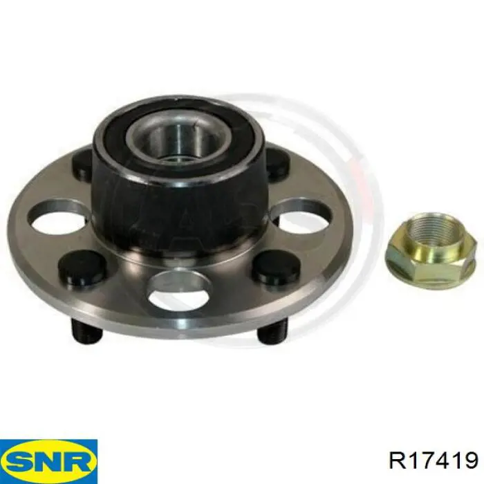 Задняя ступица R17419 SNR