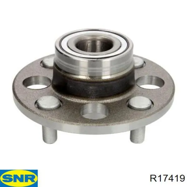 Cubo de rueda trasero R17419 SNR