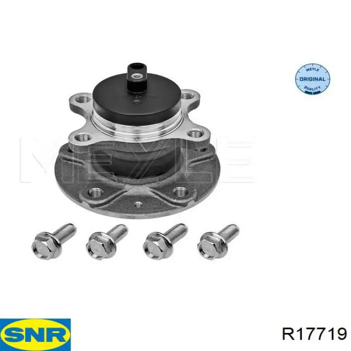 Cubo de rueda trasero R17719 SNR