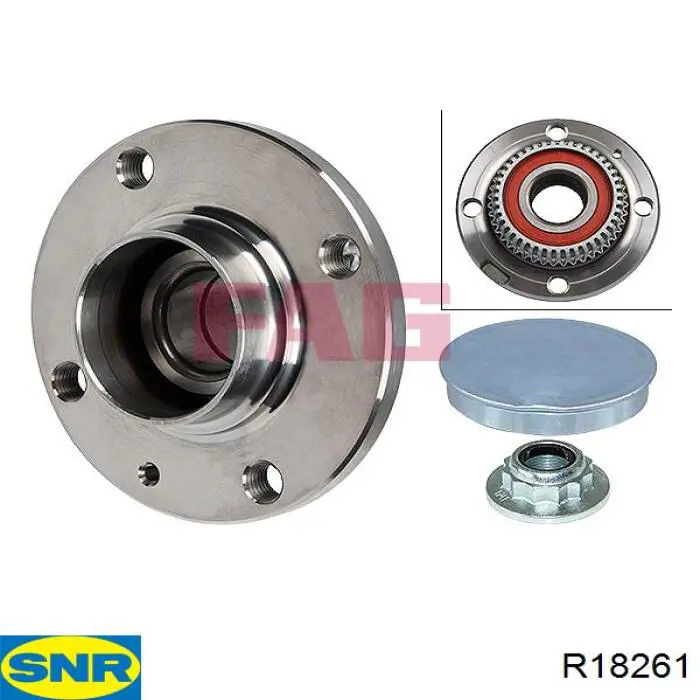 Задняя ступица R18261 SNR