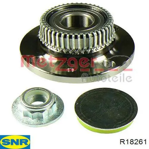 R18261 SNR Ступица задняя