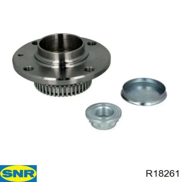 Ступицы задних колес SNR R18261 цена, от 58.31 USD