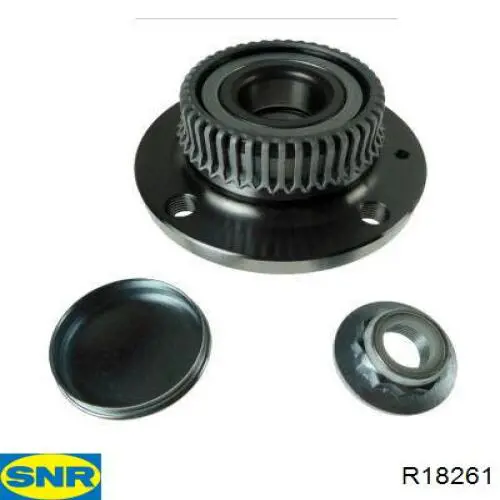 Ступицы задних колес SNR R18261 цена, от 58.31 USD
