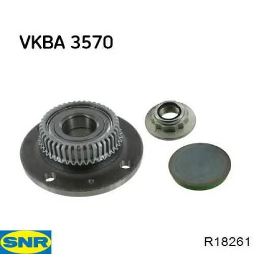 Купить R18261 SNR Задняя шпиндель