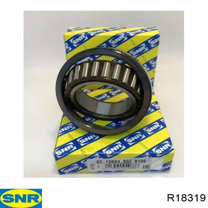 Купить R18319 SNR 