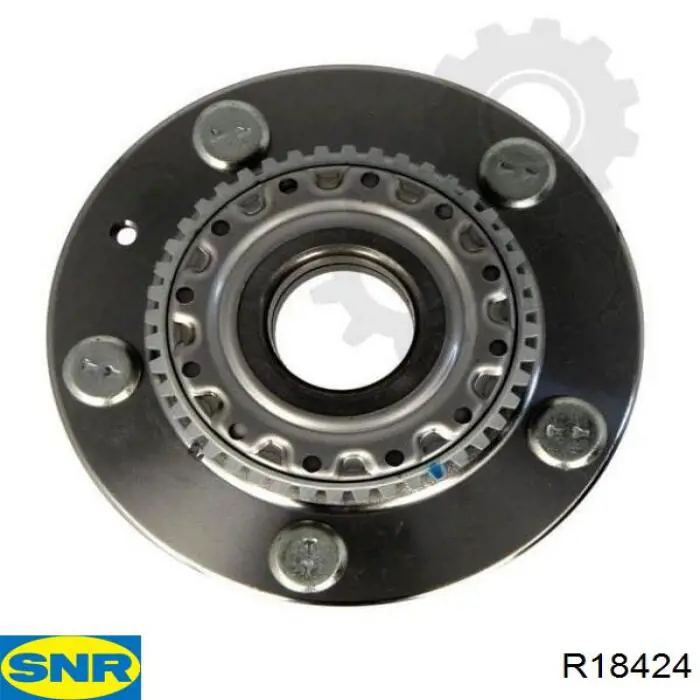 Ступица заднего колеса SNR R18424