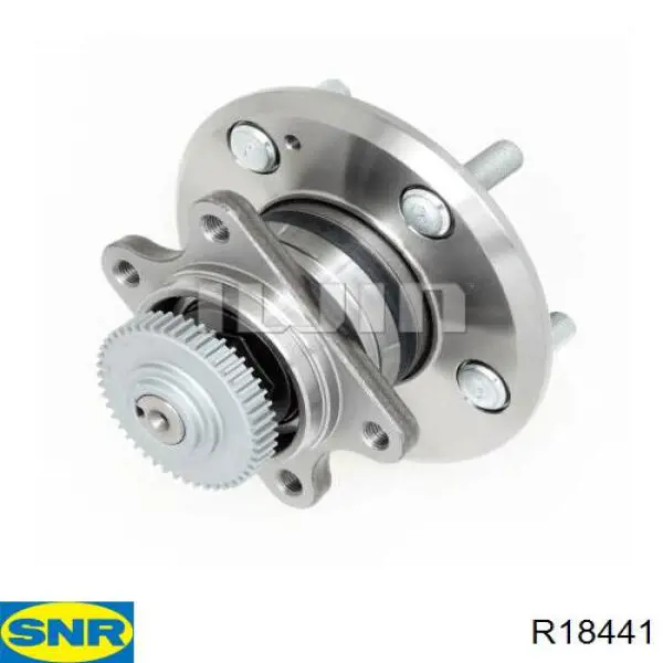 Задняя ступица R18441 SNR