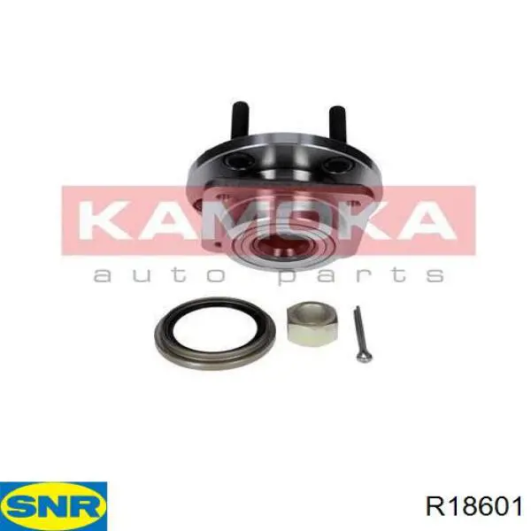Купить R18601 SNR Ступица переднего колеса
