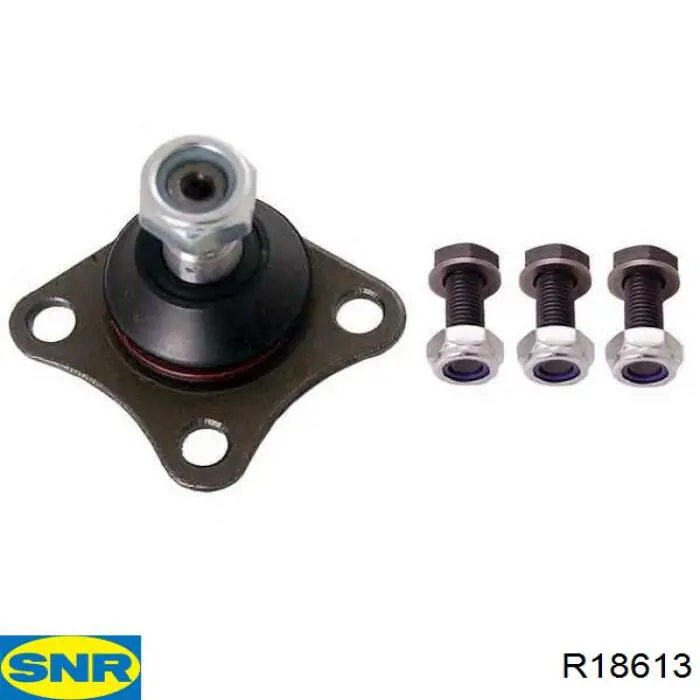Задняя ступица R18613 SNR