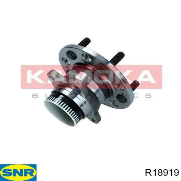 Ступицы задних колес SNR R18919 цена, от 104.69 USD