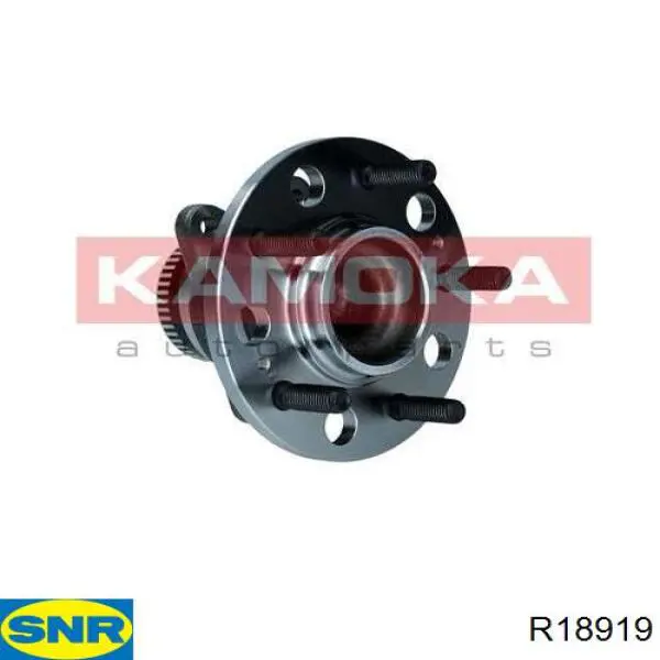 Купить R18919 SNR Задняя шпиндель