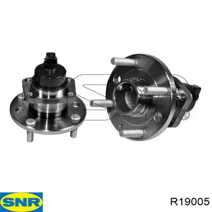 R19005 SNR