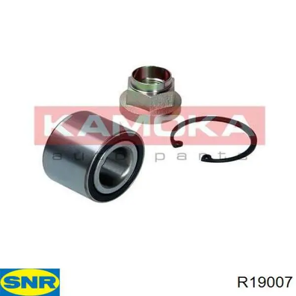 Купить R19007 SNR Подшипник задней ступицы