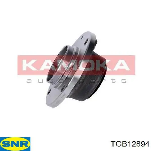 TGB12894 SNR Ступица задняя