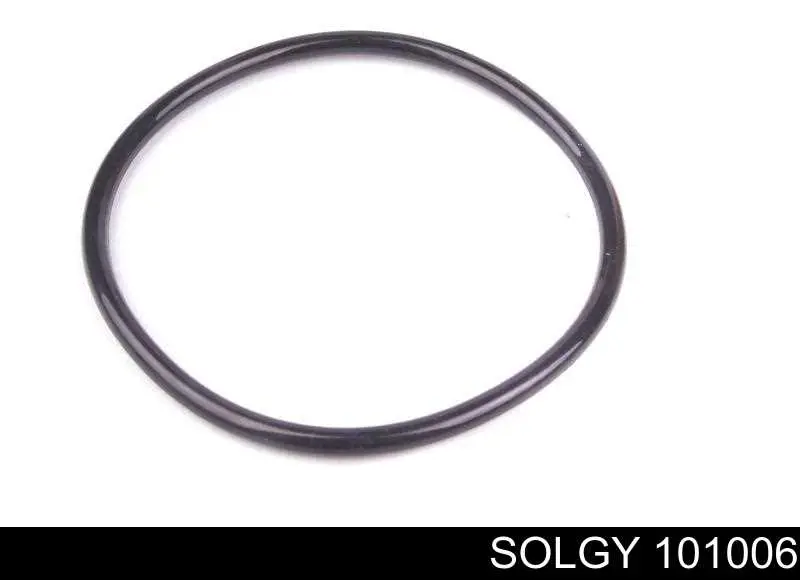 Купить 101006 Solgy Фильтр центробежный очистки масла