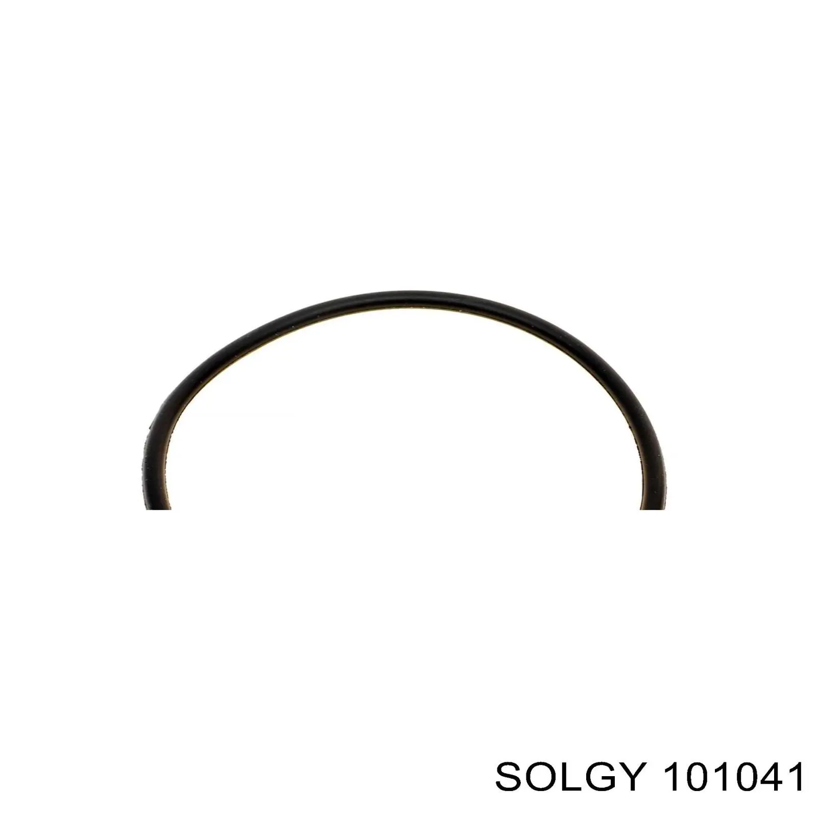 101041 Solgy Filtro de óleo