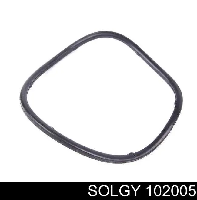 102005 Solgy Фильтр топлива