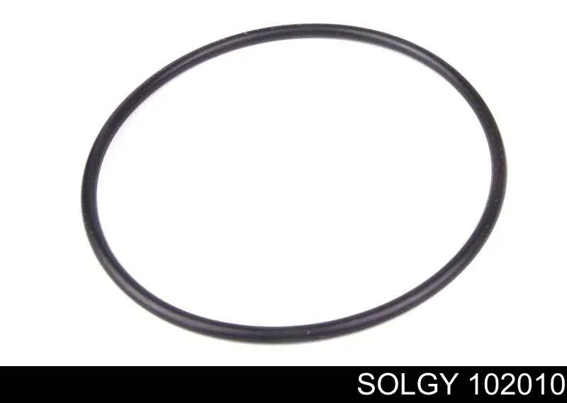 102010 Solgy Фильтр топлива
