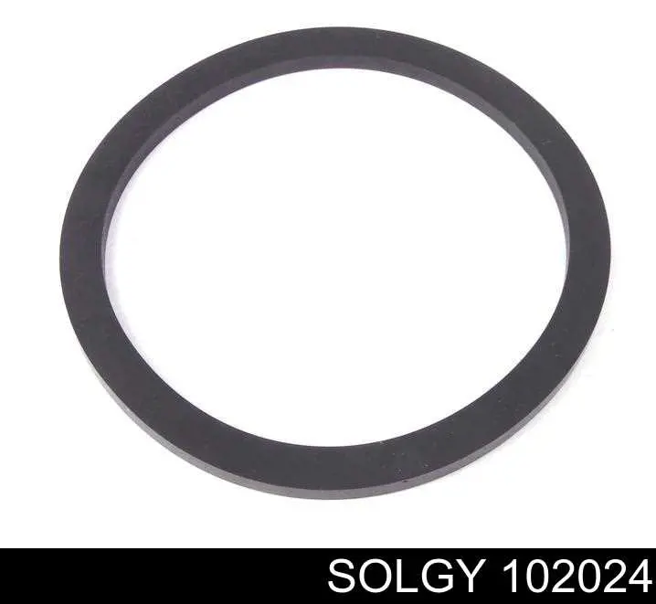 102024 Solgy Фильтр топлива