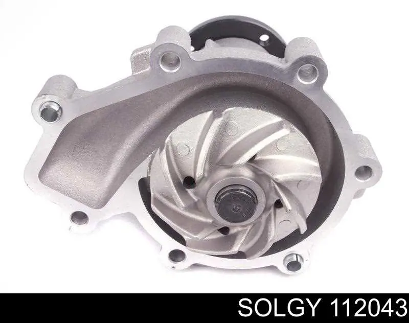 112043 Solgy Насос водяной