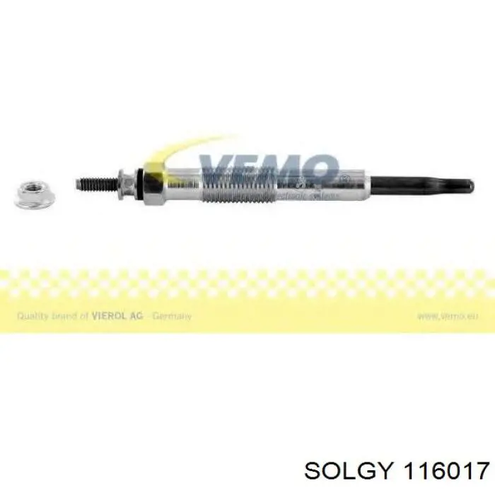 116017 Solgy