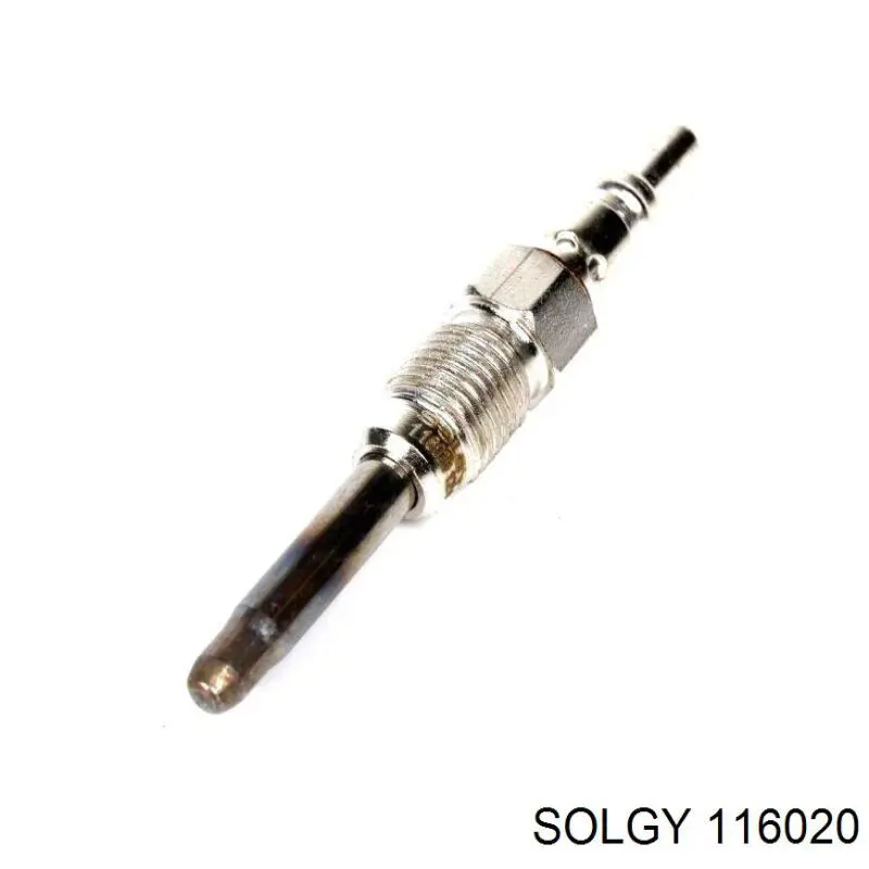 116020 Solgy