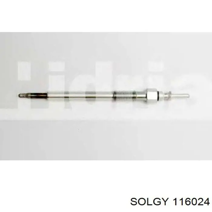 116024 Solgy