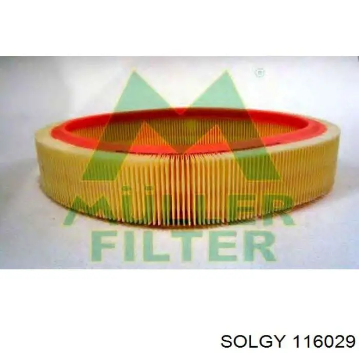 116029 Solgy Свечи накаливания