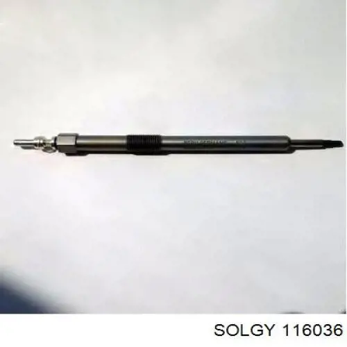 116036 Solgy