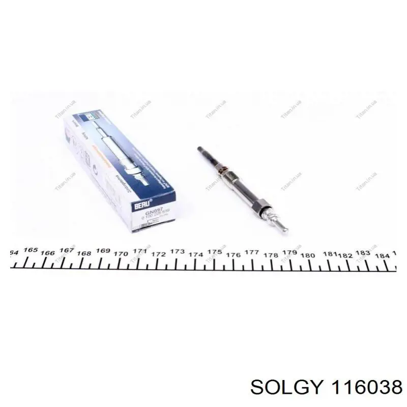 116038 Solgy