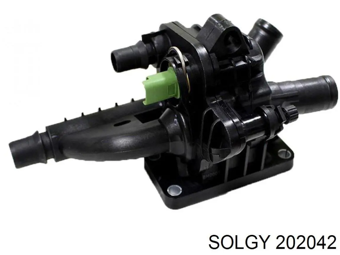 202042 Solgy