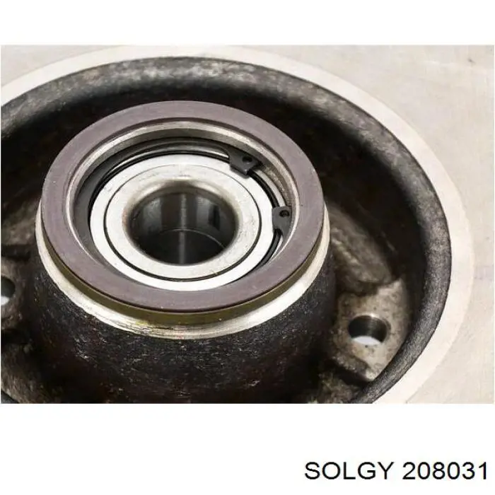 Диск гальмівний задній 208031 Solgy