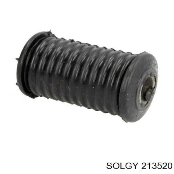  213520 Solgy